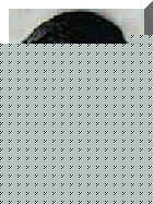 Toring.jpg (5411 bytes)